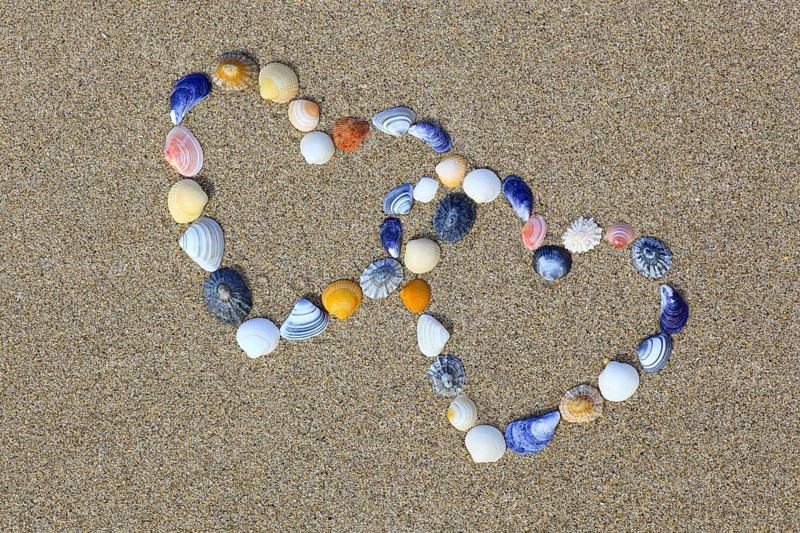 Hearts from mussel shells, heart, mussels