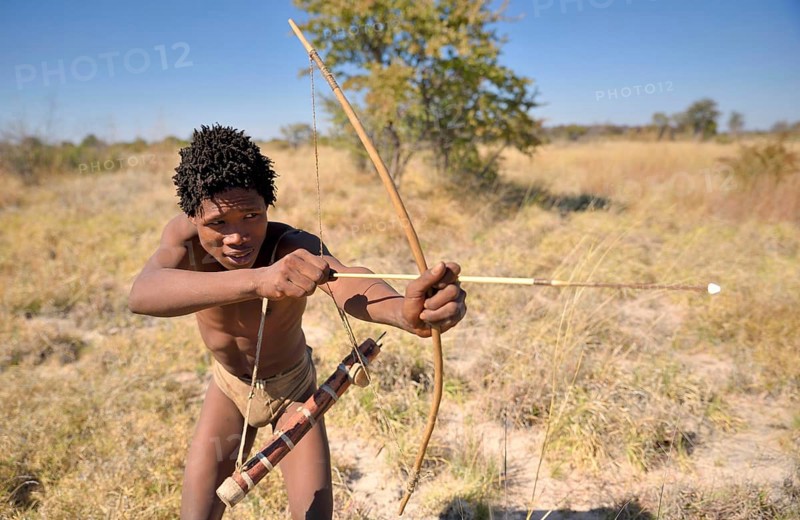 Bushman of the Ju/' Hoansi-San with bow and arrow while hunting, village //Xa/oba, near Tsumkwe, Otjozondjupa region, Namibia, Africa