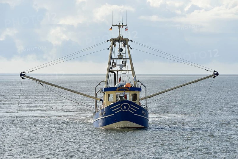 Fishing boat off Pellworm island, North Frisia, Schleswig-Holstein, Germany, Europe