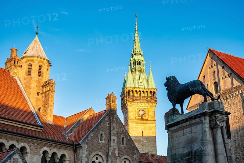 Braunschweig Lion on Burgplatz, Braunschweig, Lower Saxony, Germany, Europe