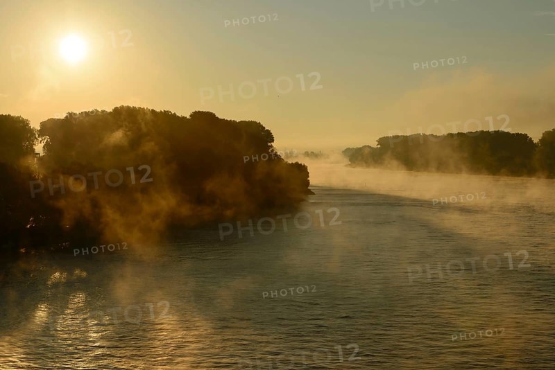 Rhine at sunrise, Speyer, Rhineland-Palatinate, Germany, Europe