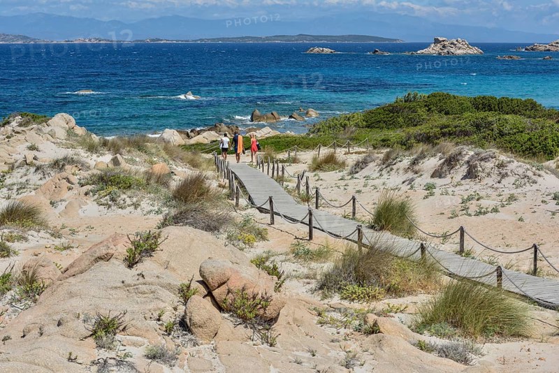 Boardwalk leading to Cala Trinita, La Maddalena island, Gallura region, Sassari Province, Sardinia, Italy, Europe