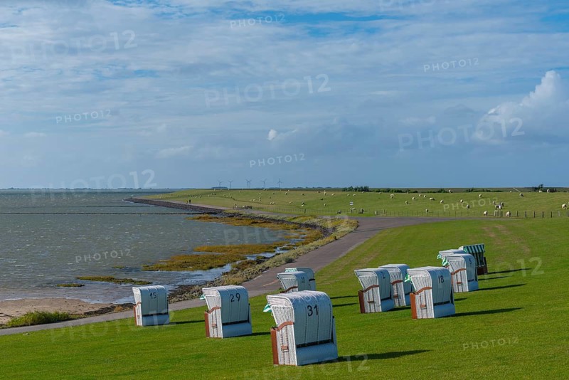 Beach chairs on the North Sea dike, flock of sheep, Fuhlehörn, Nordstrand peninsula, North Sea, North Frisia, Schleswig-Holstein, Germany, Europe