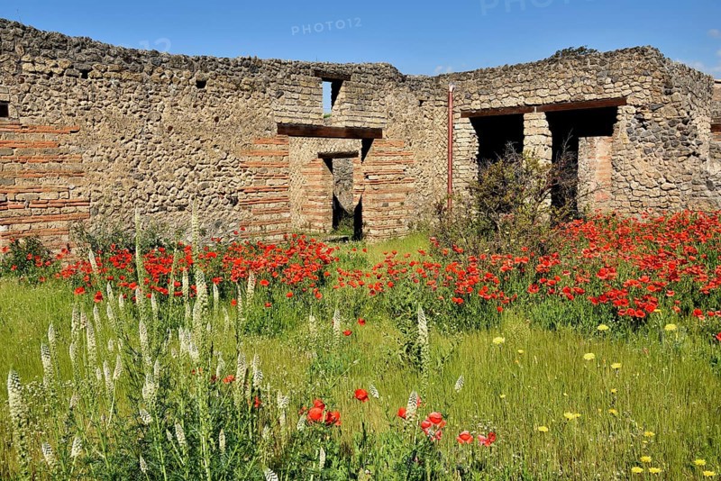 Ruins of a mansion, ancient city of Pompeii, Campania, Italy, Europe