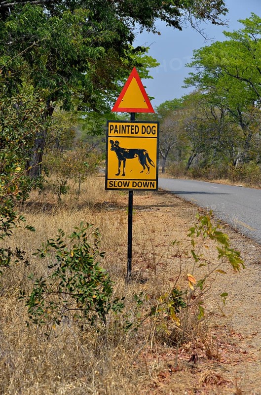 Warning Sign Painted dog, Attention African Wild Dogs, Hwange National Park, near Hwange, Matabeleland North Province, Zimbabwe, Africa