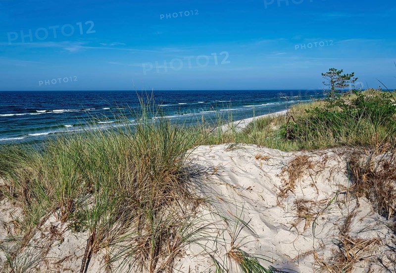 Dune landscape on the Polish Baltic coast in the Slowinski National Park, part of the UNESCO Slowinksi Biosphere Reserve. Leba, Pomerania, Poland, Europe