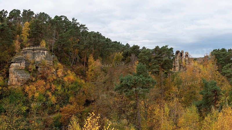 Five-fingered rock with colourful autumn leaves, sandstone formation in the Klusberge mountains, prehistoric cult site in the Harz Mountains, Halberstadt, Saxony-Anhalt, Germany, Europe