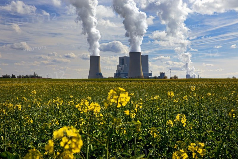 Neurath lignite-fired power station with rape field in bloom, Grevenbroich, North Rhine-Westphalia, Germany, Europe