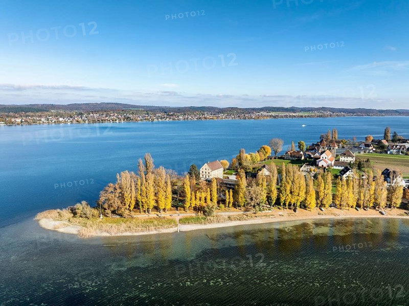 Aerial view of the north-western tip of the island of Reichenau with the district of Niederzell and the columned basilica of St. Peter and Paul, Windegg Castle on the shore with autumnal vegetation, Lake Constance, Constance district, Baden-Württemberg, Germany, Europe