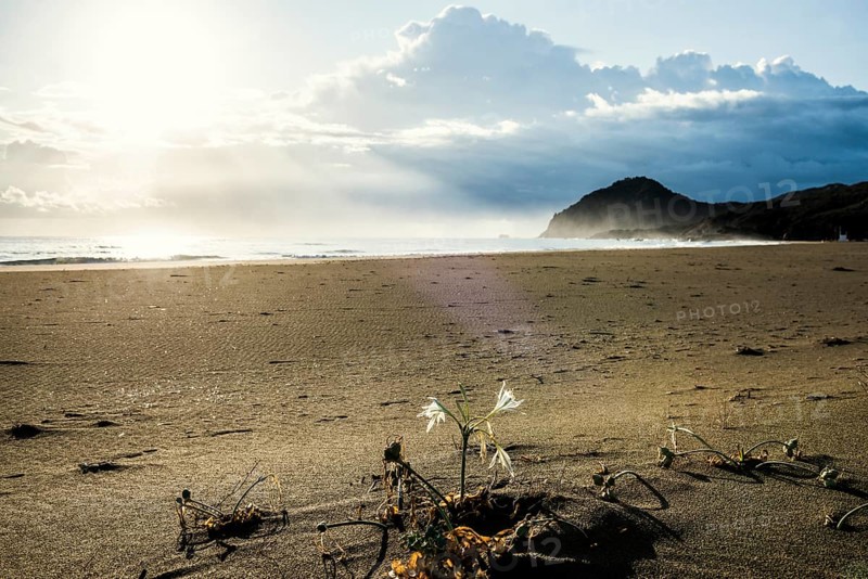 Lonely beach, Spiaggia Feraxi, sunrise, Capo Ferrato, Muravera, Province of Cagliari, Sardinia, Italy, Europe