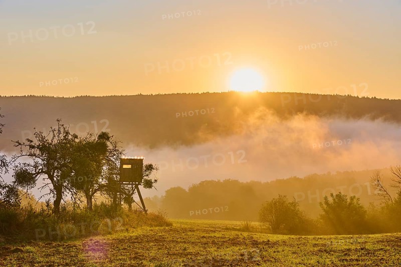 A sunrise over a field with a raised hide, surrounded by trees and fog in a quiet morning landscape, Großheubach, Miltenberg, Spessart, Bavaria, Germany, Europe