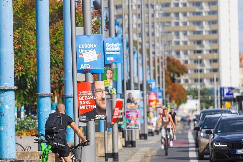 The hot phase of the state election campaign in Saxony can be seen in the amount of different messages on trees and lanterns, State election campaign in Saxony, Dresden, Saxony, Germany, Europe