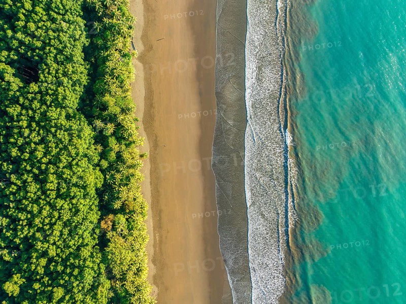 Top-down, aerial view, waves, beach and rainforest, Marino Ballena National Park, Osa National Park, dream beach and sea of the South Pacific, Puntarenas Province, Osa, Costa Rica, Central America