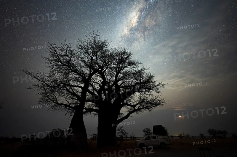 Off-road vehicle on a campsite with African baobab or baobab tree (Adansonia digitata), starry sky at night with Milky Way, Nxai Pan National Park, Botswana, Africa