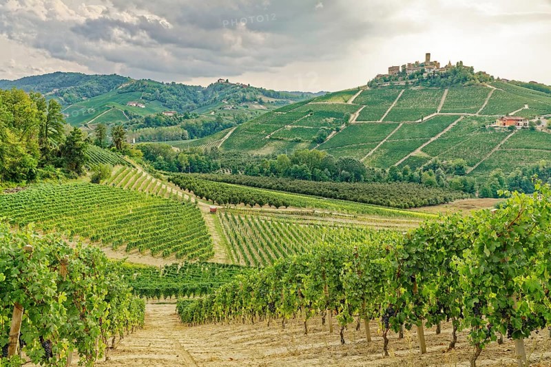 Langhe wine region, back Castiglione Falletto, province of Cuneo, Langhe, Piedmont, Italy, UNESCO World Heritage Site, Europe