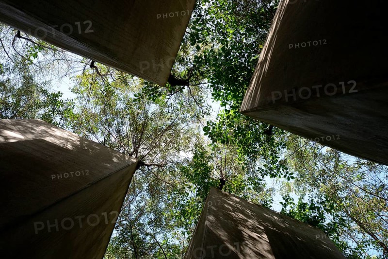 Jewish Museum Berlin, architect Daniel Libeskind, Garden of Exile, Berlin, Germany, Europe