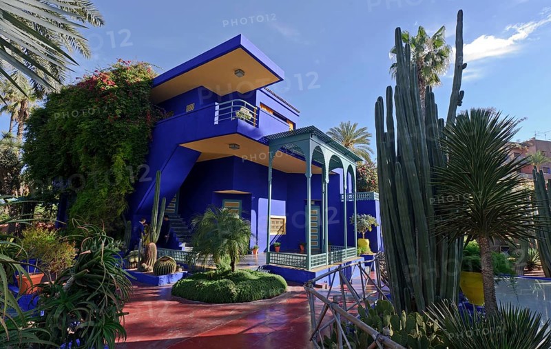 Morocco, Jardin Majorelle Botanical Garden in Marrakech, Africa