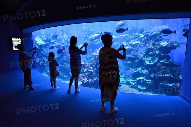 Visitors taking pictures in front of the Big Blu Basin, Palma Aquarium, Palma de Mallorca, Majorca, Balearic Islands, Spain, Europe
