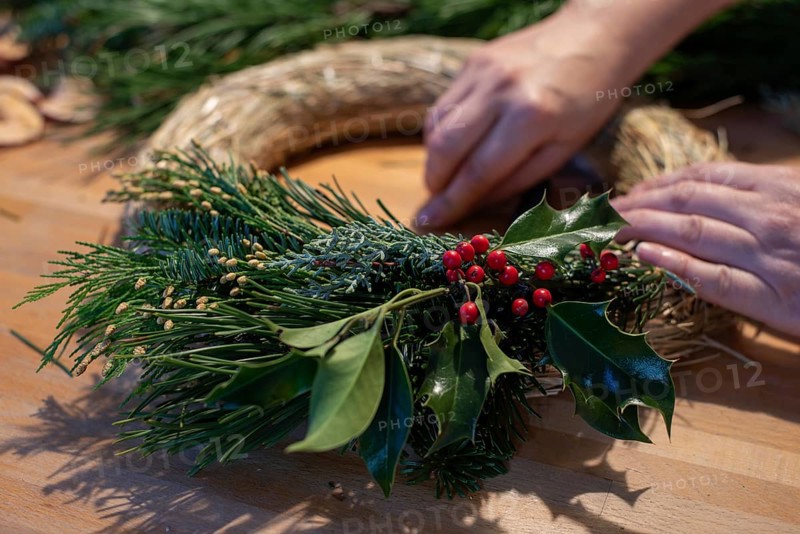 Advent wreath, holly, fir greenery, Germany, Europe