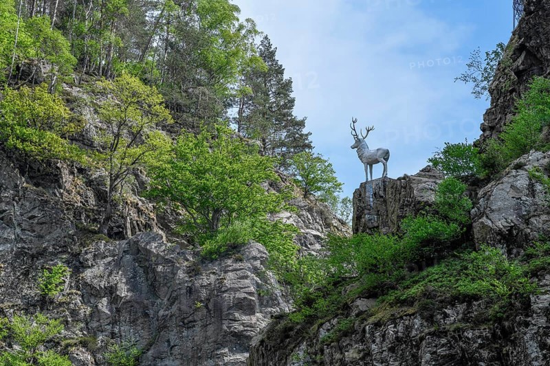 Deer monument at Hirschsprung in the Höllental, near Breitnau, Black Forest, Baden-Württemberg, Germany, Europe