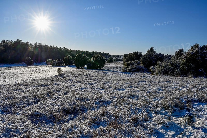 Snow-covered landscape in the Lüneburg Heath nature Park, near Haverbeck, Heidekreis district, Lower Saxony, Germany, Europe
