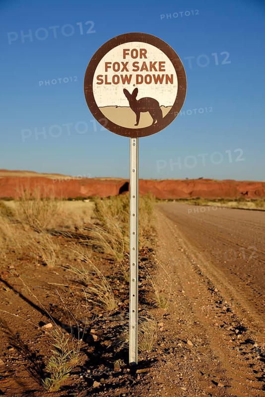 Sign Caution Bat-eared foxes (Otocyon megalotis), Gondwana Namib Park, near Sesriem, Hardap Region, Namibia, Africa
