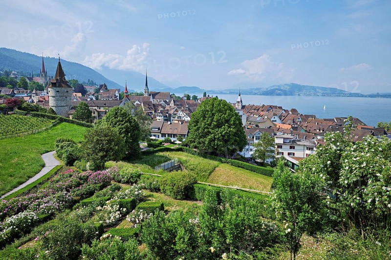 View from the rose garden at the Guggi to the Zytturm, Capuchin tower and church, Old Town, Zug, Canton Zug, Switzerland, Europe