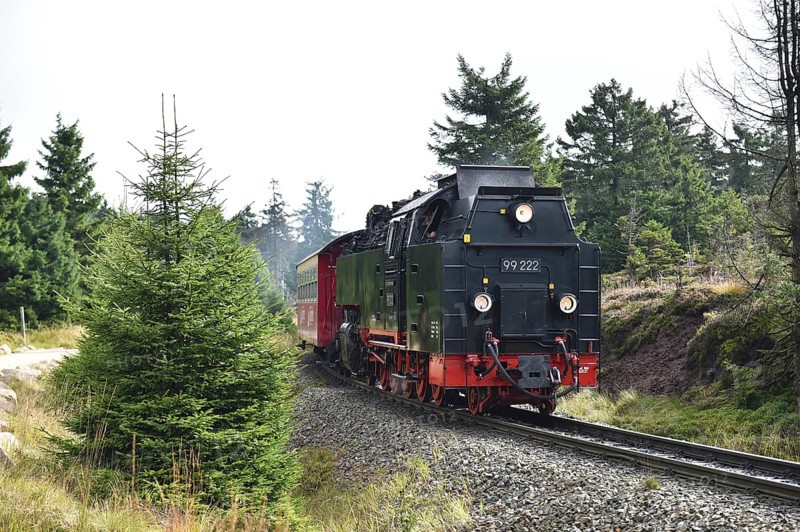 Harz narrow-gauge railway on the way to the Brocken, Saxony-Anhalt, Germany, Europe