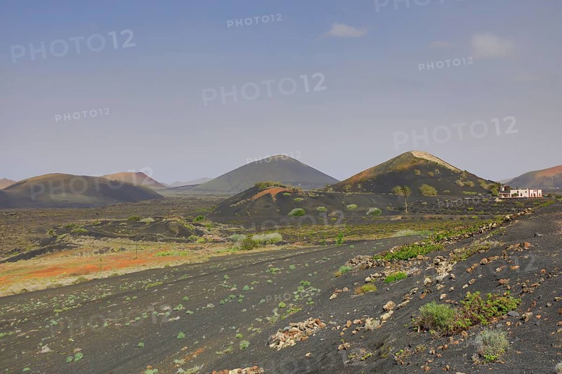 Volcanic landscape around La Geria, Lanzarote, Canary Islands, Spain, Europe
