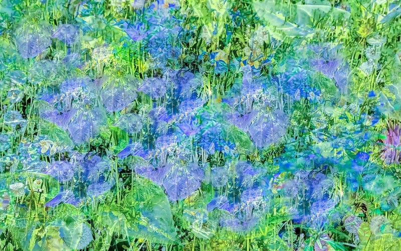 Oil painting, purple flowers creative, different plants mixed, artistic shot, purple flowers alienated, plants, impressionistic art style, vivid spring atmosphere, allover, alienation, dense flower field, soft colours, soft, fragrant, meadow, garden, bed, plants, Germany, Europe
