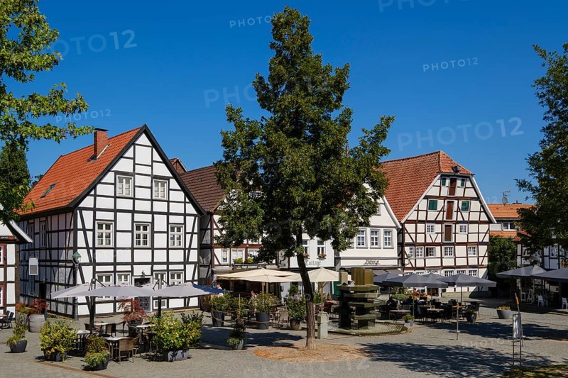 Council fountain and half-timbered houses at Vreithof, Old Town, Soest, North Rhine-Westphalia, Germany, Europe