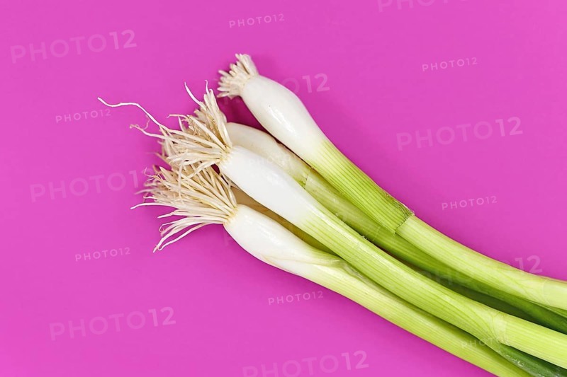 Bunch of green spring onions bulbs on purple background