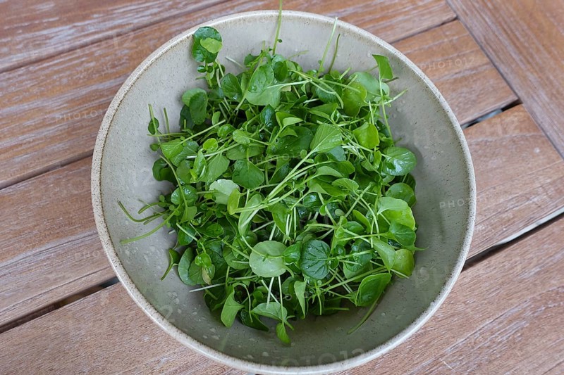 Watercress (Nasturtium officinale), fresh cress for the preparation of a cress soup, bowl, bowl on wooden board, Swabian cuisine, hearty soup, vegetarian, healthy, salty, typical Swabian reinterpreted, traditional cuisine, food photography, studio, Germany, Europe