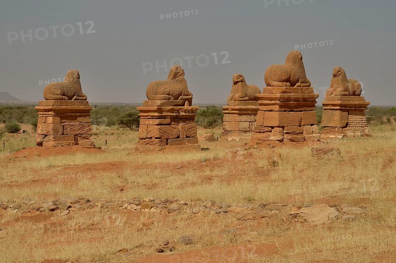 Ram sphinxes in front of the Temple of Amun of Naga, Nubia, Nahr an-Nil, Sudan, Africa