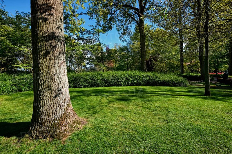 Green lawn and trees in Keukenhof flower garden park, also known as the Garden of Europe, one of the world largest flower gardens and popular tourist attraction. Lisse, the Netherlands