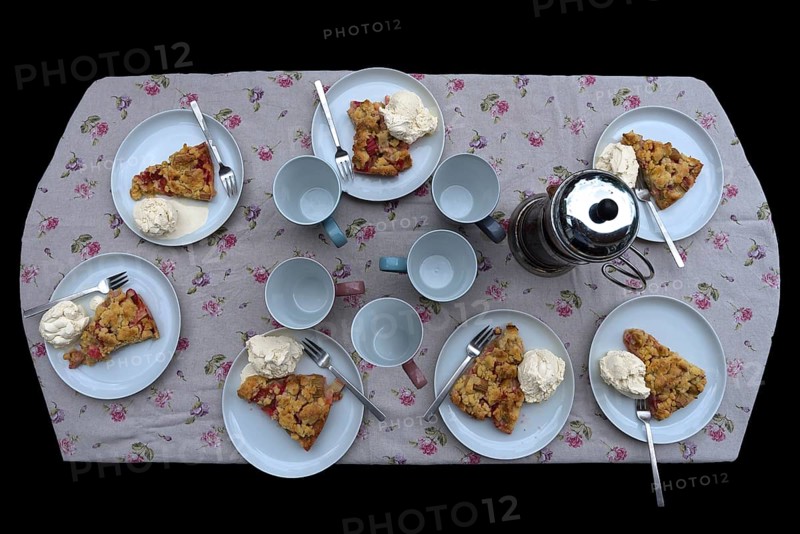 Coffee table with rhubarb cake and cream, Mecklenburg-Western Pomerania, Germany, Europe