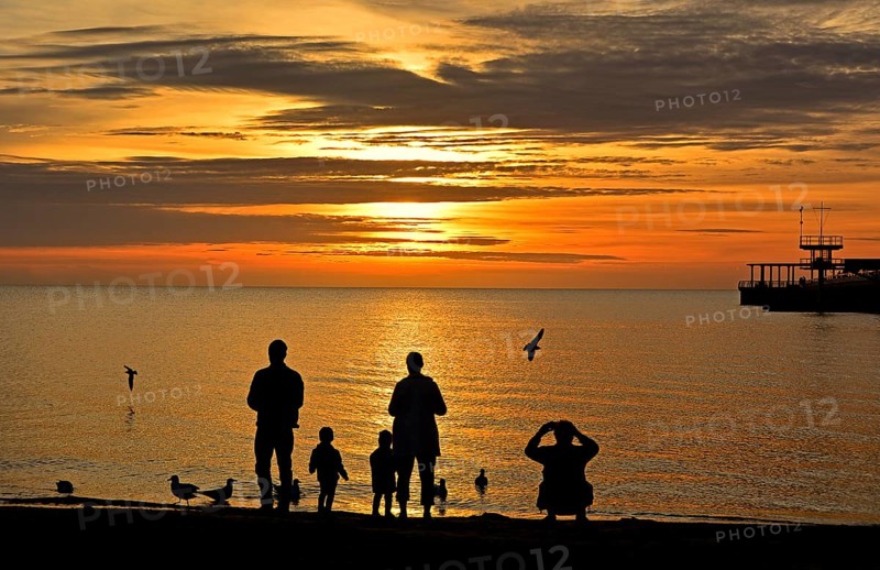 Family (silhouettes) feeding seagulls in the sunrise, Baltic Sea, Schleswig-Holstein, Germany, Europe
