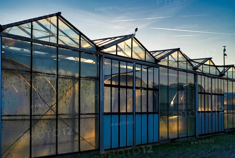 Greenhouses, greenhouses, glasshouses, nursery, Fellbach, evening light, evening, Baden-Württemberg, Germany, Europe