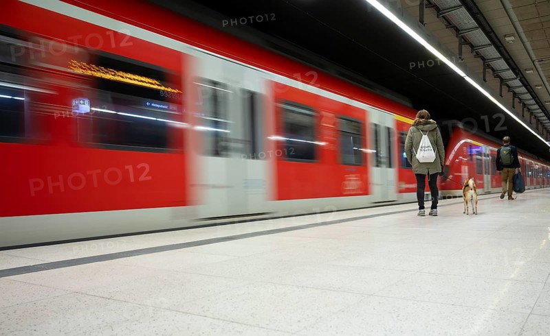 Traveller, dog, underground arriving S-Bahn, train, class 420 in traffic red, platform, stop, Feuersee station, public transport, movement effect, Stuttgart, Baden-Württemberg, Germany, Europe