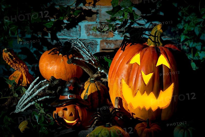 Halloween pumpkin surrounded by spiders, decorative pumpkins and bone hands in a gloomy setting