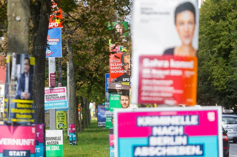 The hot phase of the state election campaign in Saxony can be seen in the amount of different messages on trees and lanterns, State election campaign in Saxony, Dresden, Saxony, Germany, Europe