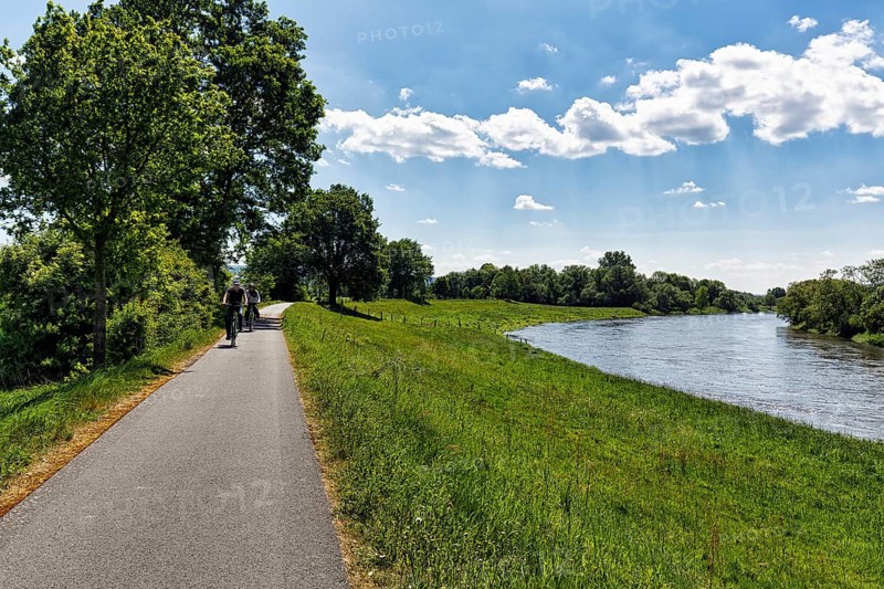Cyclist on the Weser, on the Weser cycle path in summer, long-distance cycle path, backlight, Holzminden, Germany, Europe