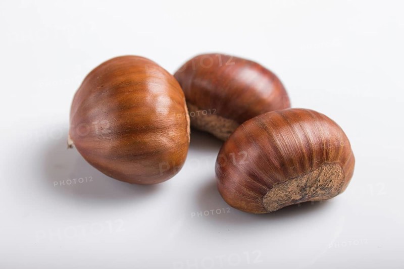 Sweet chestnuts isolated on white background. closeup, macro