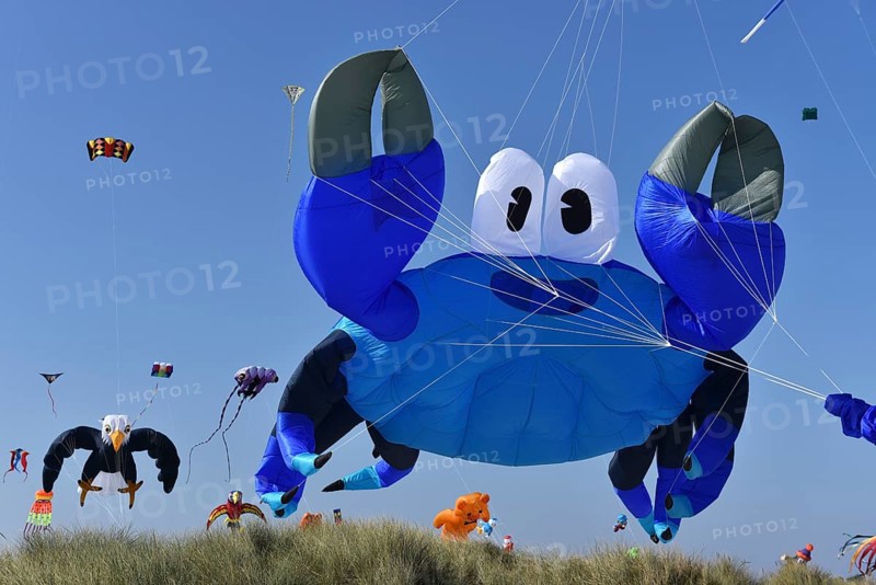 Kite festival, flying kites on Schönberg beach, Schleswig-Holstein, Germany, Europe