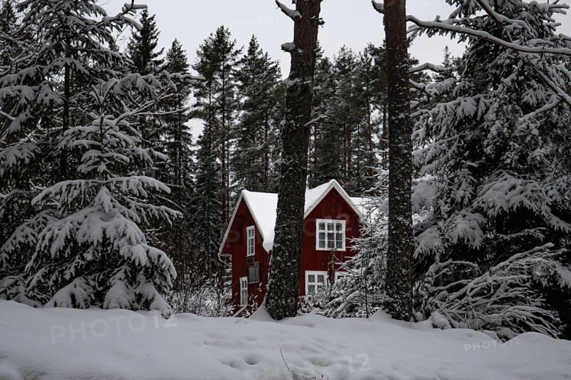 Typical red Swedish house. Wooden house in a winter landscape with ice and snow. Small settlement in the middle of a snowy forest. Landscape shot in Sweden