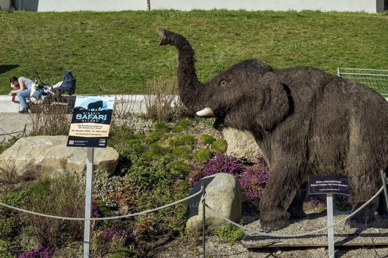 Advertising for exhibition, Ice Age Safari, woolly mammoth baby, Kempten, Allgäu, Bavaria, Germany, Europe