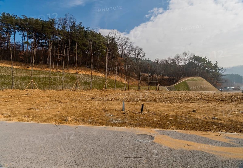 Landscape of construction site with row of newly planted trees at edge of undeveloped land, South Korea, South Korea, Asia