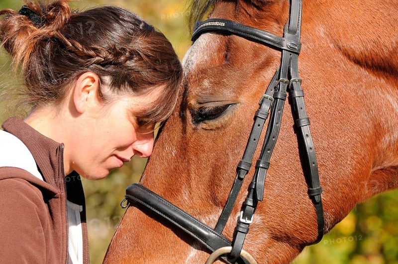 Woman and old horse, Trakehner, 30 years old, German warmblood, riding horse, bridle, lateral