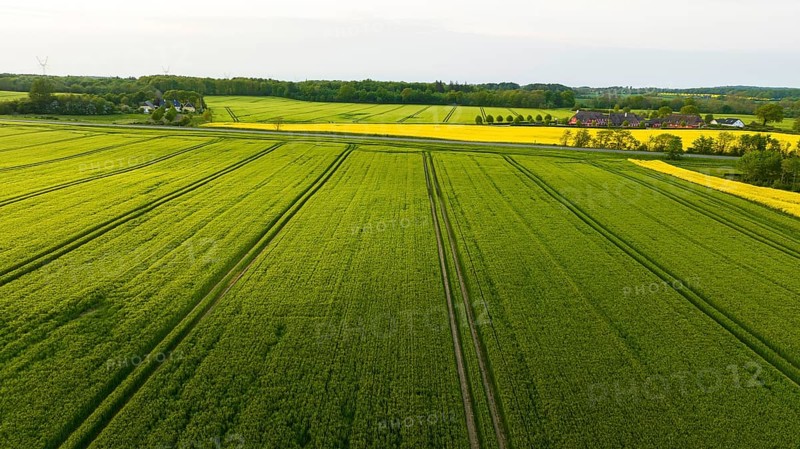 Aerial view, Denmark, Region Syddanmark, Christiansfeld, Agriculture and farms with grain and rape fields, Christiansfeld, Region Syddanmark, Denmark, Europe