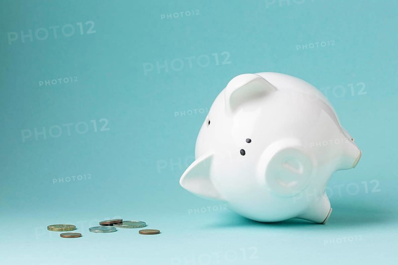 Finance elements with white piggy bank